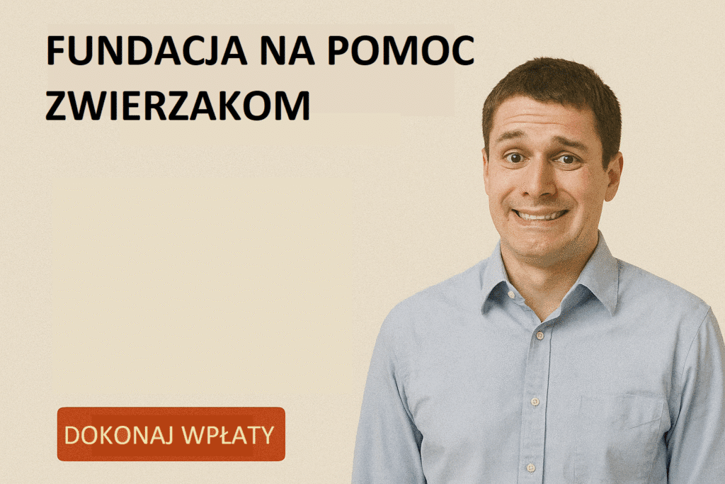 Parodia strony pseudo-fundacji z przypadkowym stock photo
